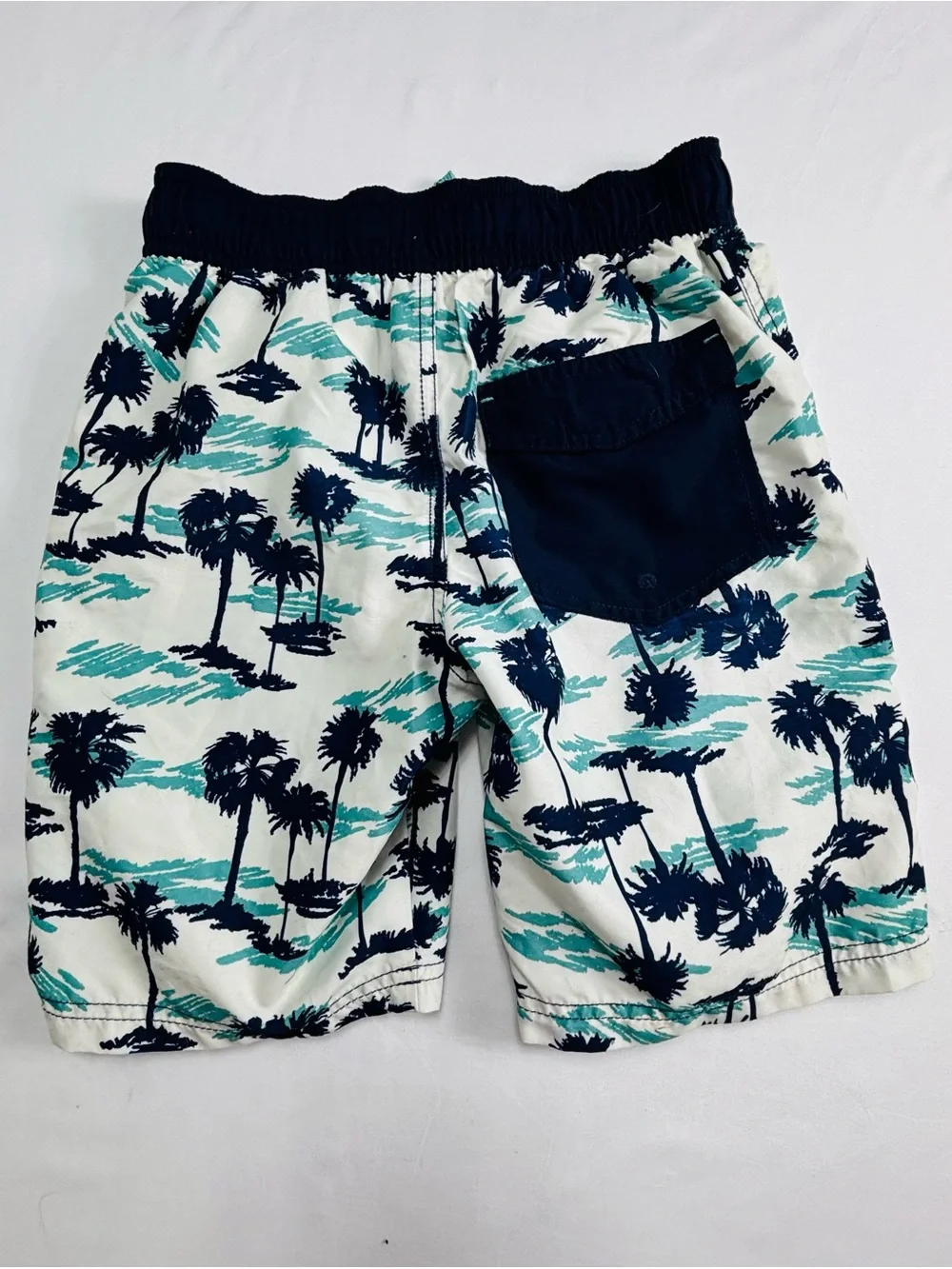 Cat & Jack men swim